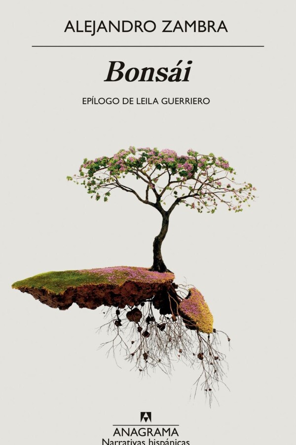 Bonsái Bonsái
