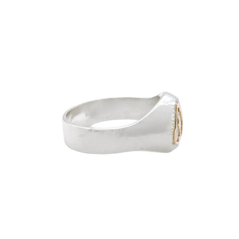 Anillo Profesión Ingeniero agrónomo-Plata y Oro-Sin Piedra-AP5009 - Adulto - Sinpiedra