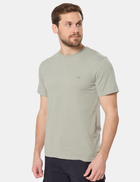 REMERA LISA Pistacho