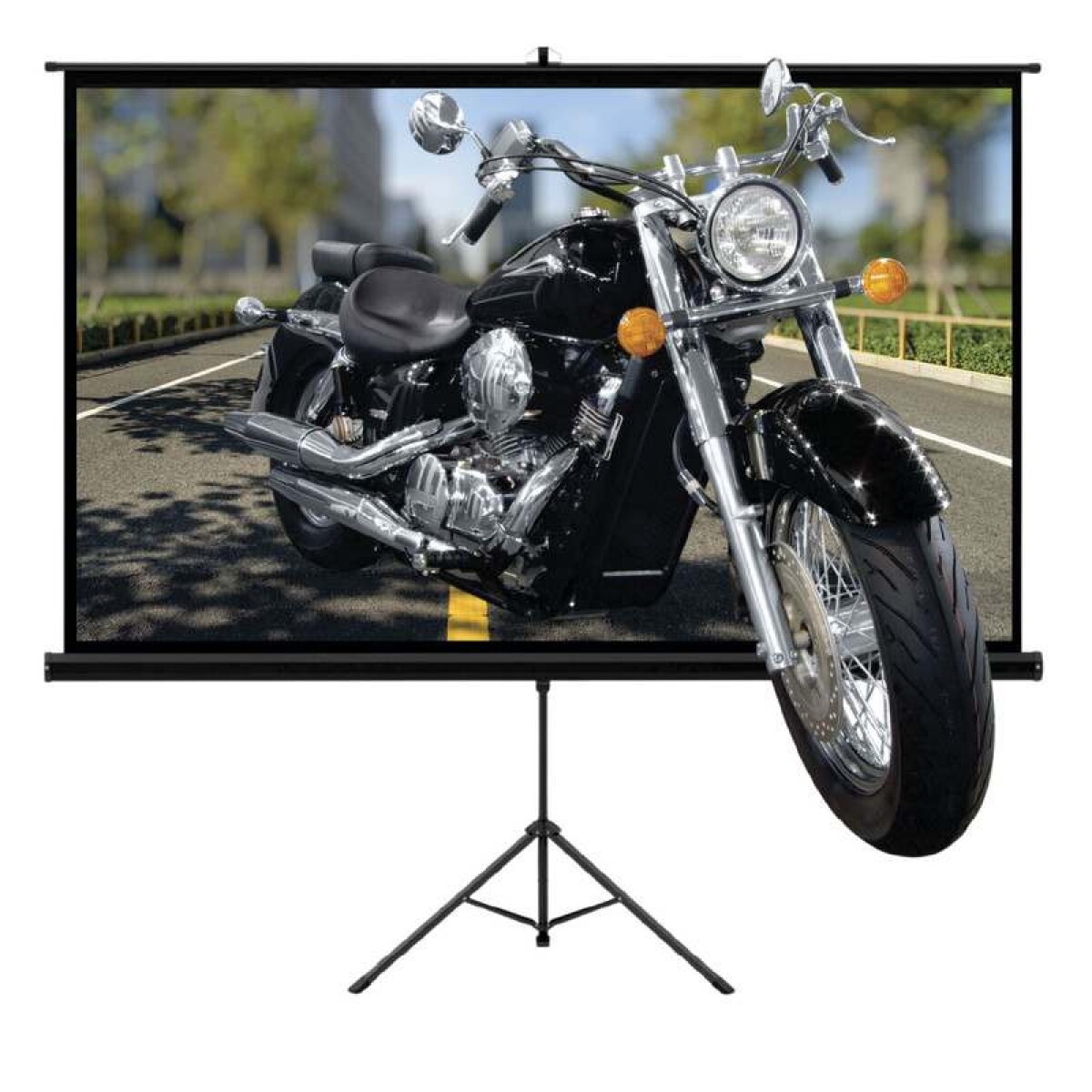 Pantalla De Proyección Con Trípode 100 Pulgadas HD 220cm largo x 120cm - Variante Color Negro 