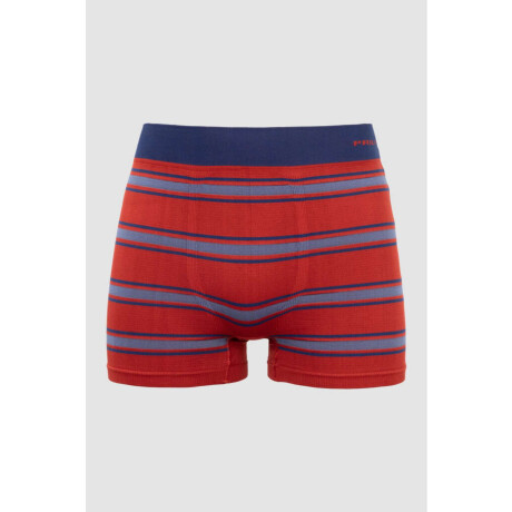Boxer corinto Rojo tomate