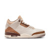 Championes Air Jordan 3 Retro de Hombre Multicolor