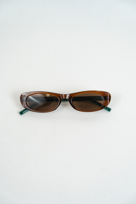 Lentes Zn3867 Marron