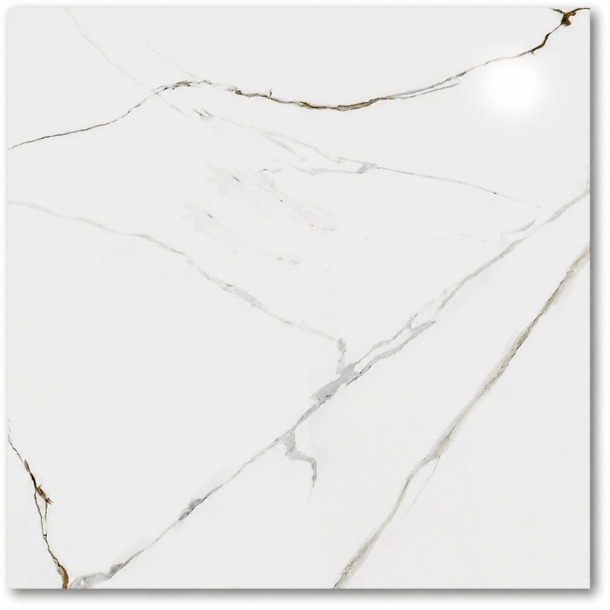 Cerámica Para Piso Y Pared Goldstream 72x72cm Pulido Brillante 