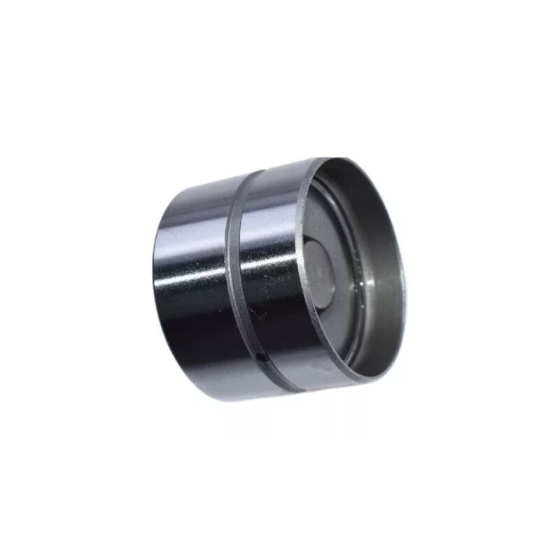 BOTADOR HIDRAULICO GOL G2 / G3 / G4 1.6N, 1.8N, 1.9D / GOL 1.0 .../04 Botador Hidraulico Gol G2 / G3 / G4 1.6n, 1.8n, 1.9d / Gol 1.0 .../04