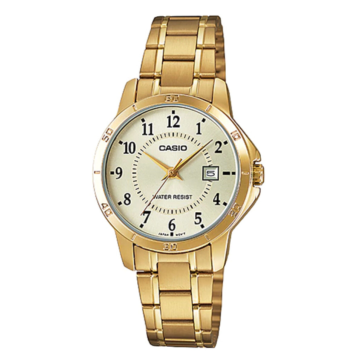 Reloj CASIO LTPV004G-9BUDF en Acero Dorado Esfera 30mm 
