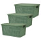 Set x3 Caja simil ratán 4 lts VERDE