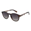 Lentes de Sol Chilli Beans Kuwait Animal Print Matte