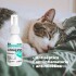 CLORHEXIDIN PLUS SOLUCIÓN 100 ML CLORHEXIDIN PLUS SOLUCIÓN 100 ML