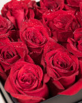 Box de 12 rosas rojas Box de 12 rosas rojas