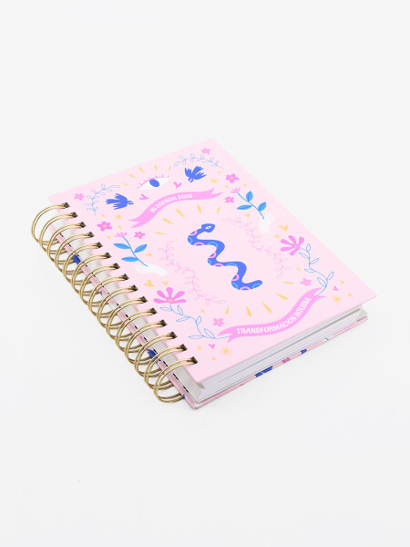 AGENDA TRANSFORMACION 2026 ROSADO