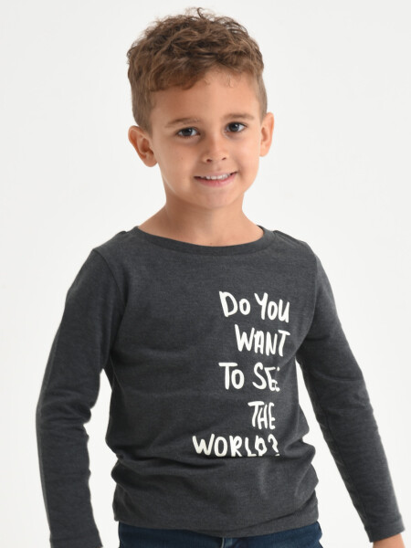 Camiseta manga larga estampada Gris Melange Oscuro