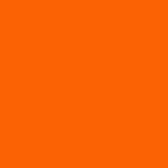 10 CUOTAS SIN INTERESES