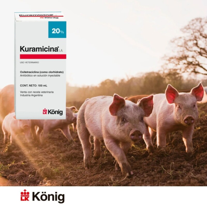 KURAMICINA L.A. – ANTIBIÓTICO INYECTABLE DE ACCIÓN PROLONGADA PARA BOVINOS, OVINOS Y PORCINOS – 100 ML KURAMICINA L.A. – ANTIBIÓTICO INYECTABLE DE ACCIÓN PROLONGADA PARA BOVINOS, OVINOS Y PORCINOS – 100 ML