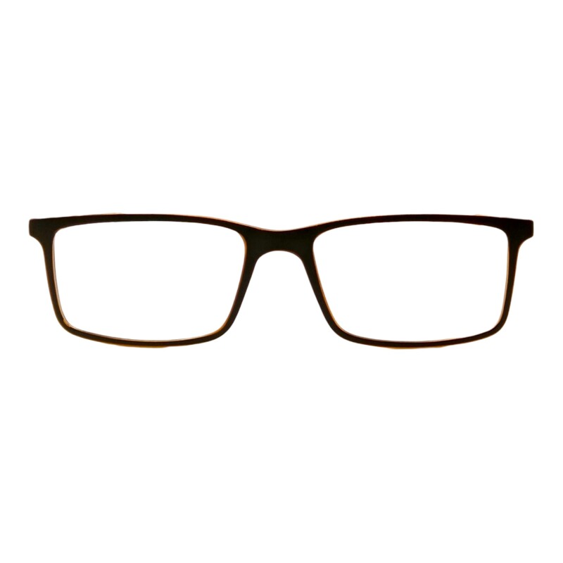 LC013533 marróncombinado