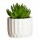 Mini Planta Artificial Decorativa Maceta Acanalada Cemento Verde Claro