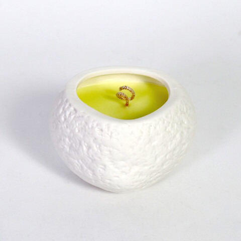 VELA AROMATICA LEMON TREES 10X7X7CM Unica