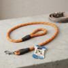 Correa Para Perro Largo Total 1.3 mts Refractaria NARANJA