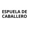 Semillas Espuela de caballero variado x 2g