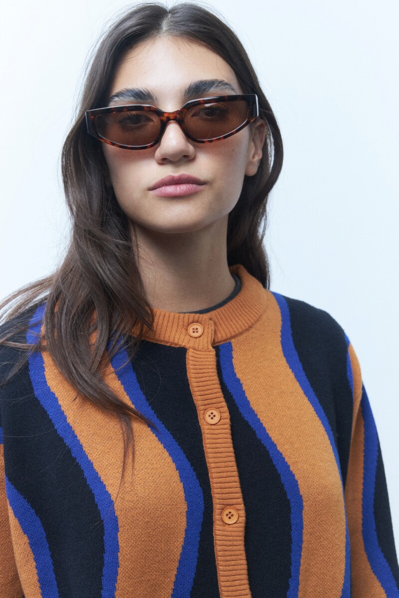 Lentes de sol Romanesco carey