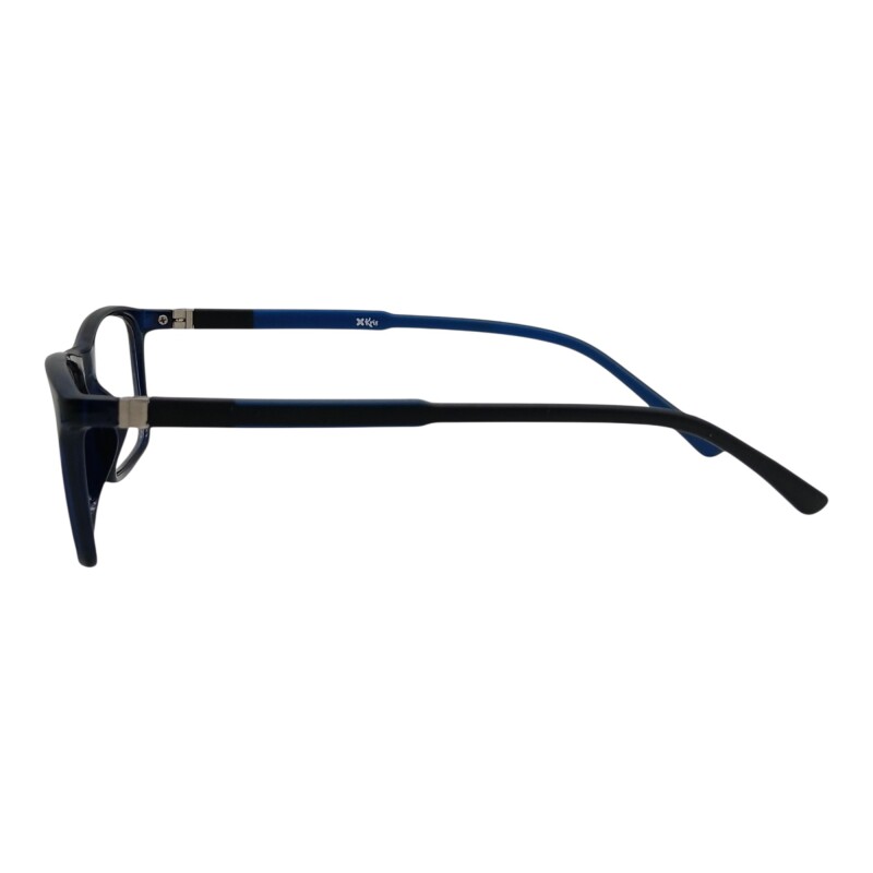 KY370905 azuluniforme