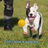PELOTA MACIZA PARA PERROS 8.5 CM PELOTA MACIZA PARA PERROS 8.5 CM