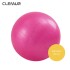 Pelota 65 Cm Rosa Pilates Yoga Gimnasia + Inflador De Pie Gym Pelota 65 Cm Rosa Pilates Yoga Gimnasia + Inflador De Pie Gym