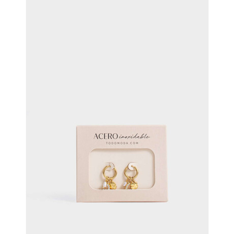 Argollas De Acero Quirúrgico Dorado