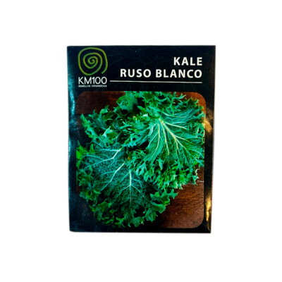 Semillas de kale ruso blanco Semillas De Kale Ruso Blanco
