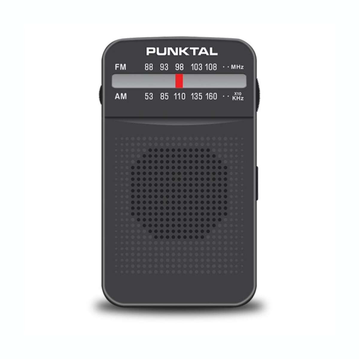 Radio Portátil Clásica PUNKTAL PK-24 AM/FM - Negro 