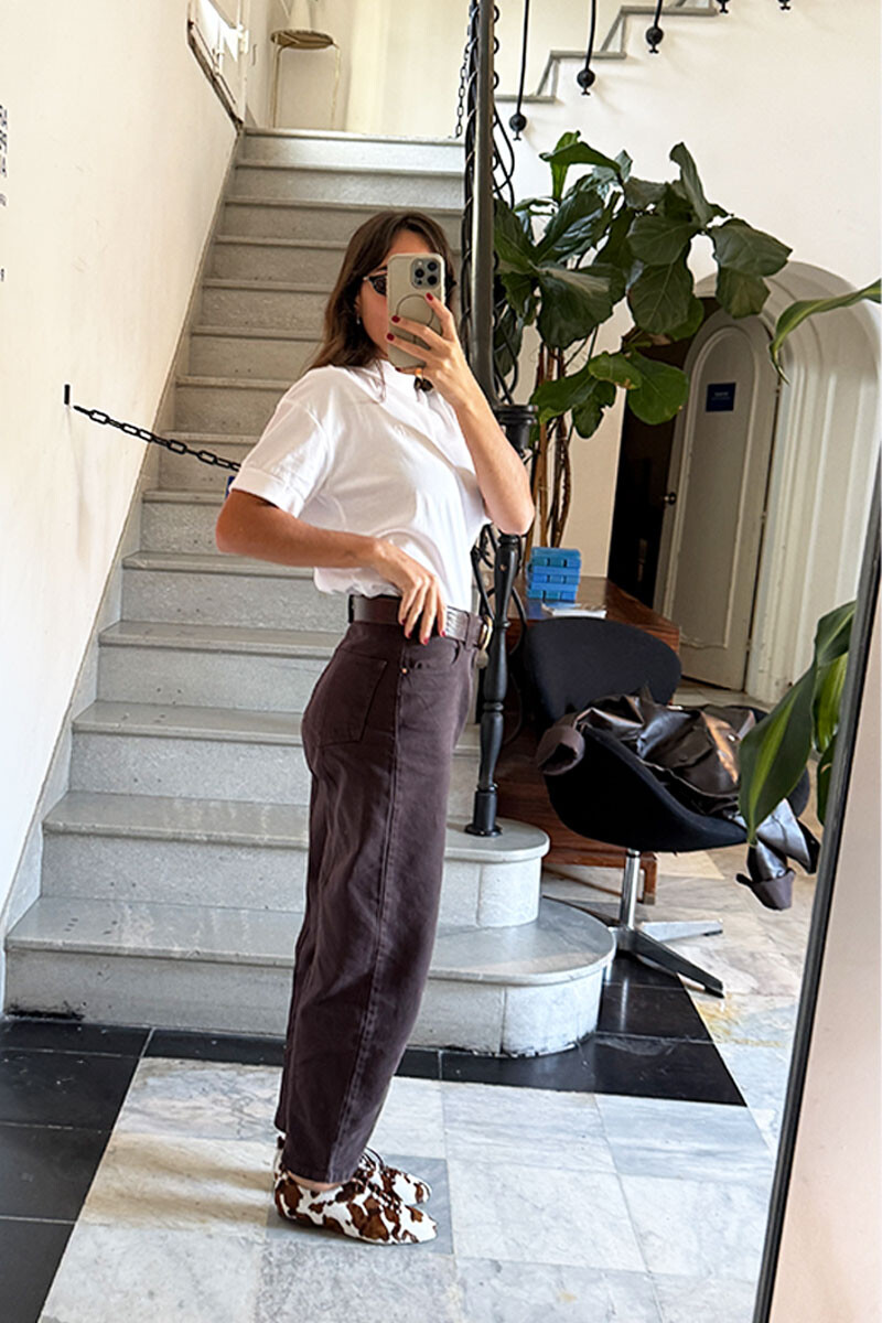 Baxa Brownie