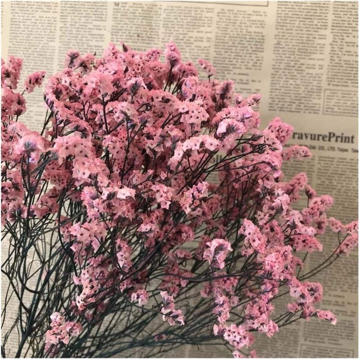 Ramo Frondoso De Flores Secas - Rosa Claro 