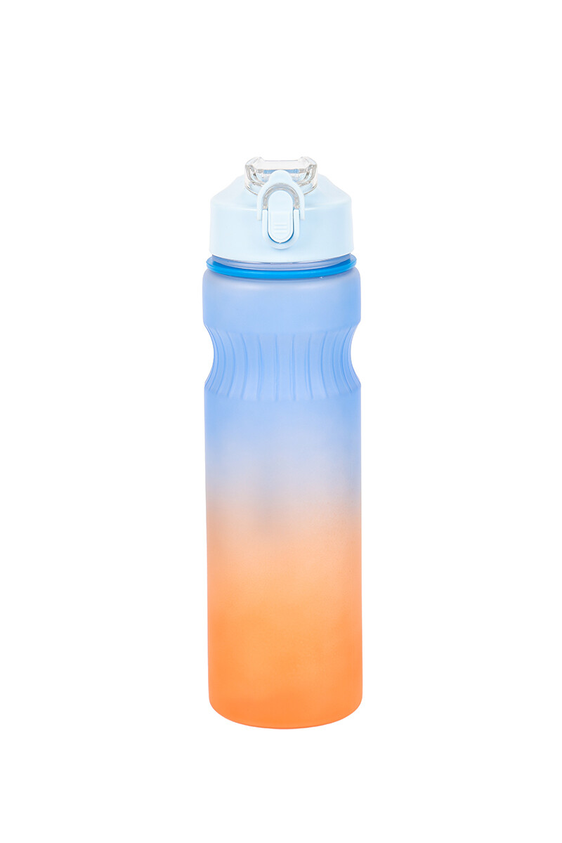 Botella Surtido