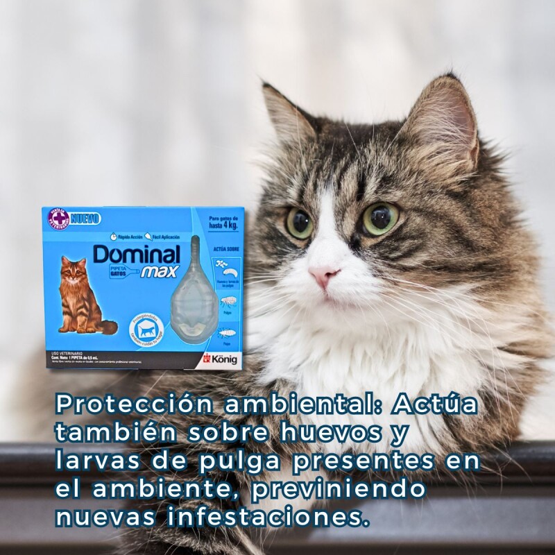 PIPETA ANTIPULGAS Y ANTIGARRAPATAS DOMINAL MAX GATOS HASTA 4KG PIPETA ANTIPULGAS Y ANTIGARRAPATAS DOMINAL MAX GATOS HASTA 4KG