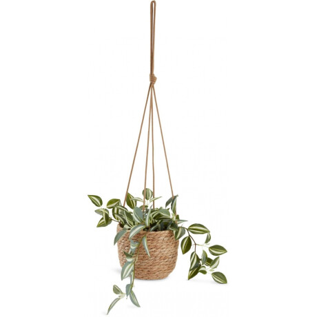 Planta Artificial Asgar A24Cm Verde