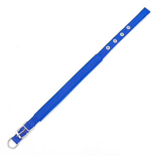 Collar Ajustable Reforzado Hebilla Nylon Perro Gato Mediano Variante Color Azul