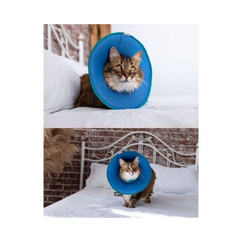 Collar Isabelino Soft Ultraleve Gato Petróleo y Turquesa M Collar Isabelino Soft Ultraleve Gato Petróleo y Turquesa M