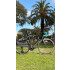 BIANCHI OLTRE XR1 T-55 BIANCHI OLTRE XR1 T-55