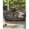 Cama para Mascota Perro o Gato con Colchón Rimax Mocca