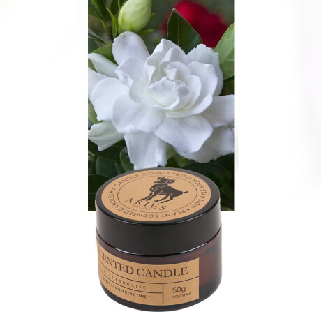 Vela Aromática Del Zodiaco Aries - Gardenia