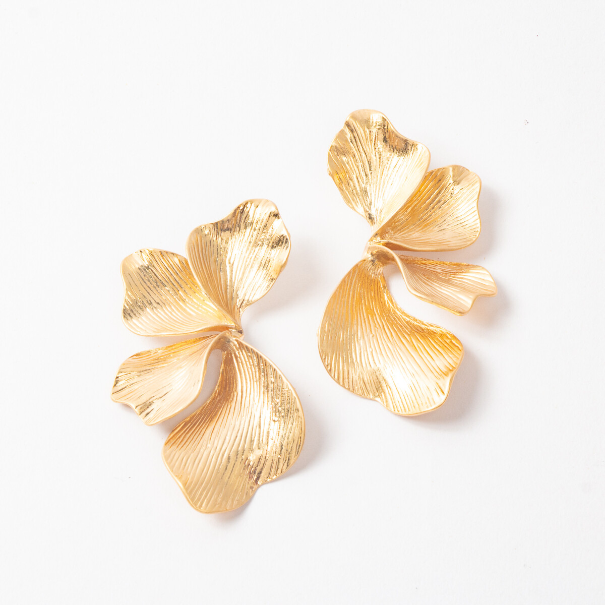 CARAVANAS EVREN DORADAS 