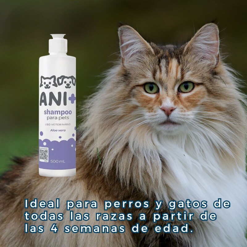 SHAMPOO ANI+ CON ALOE VERA 500 ML SHAMPOO ANI+ CON ALOE VERA 500 ML