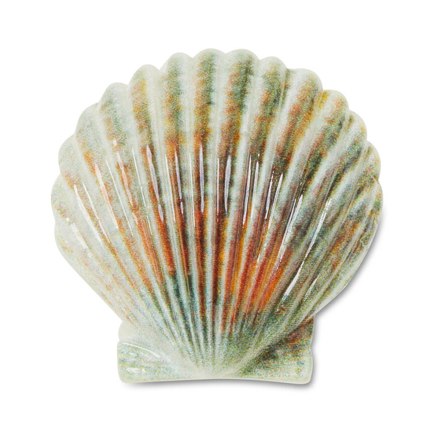 Natural Seashell Multicolor