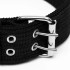 Collar Hebilla Nylon Perros Raza Grande 65 cm Ajustable Variante Color Negro