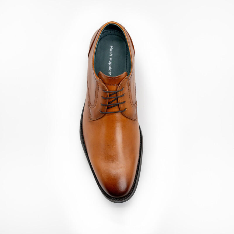 ZAPATO CON CORDON DE VESTIR NAPA VINCENZA WHISKY HAVANA