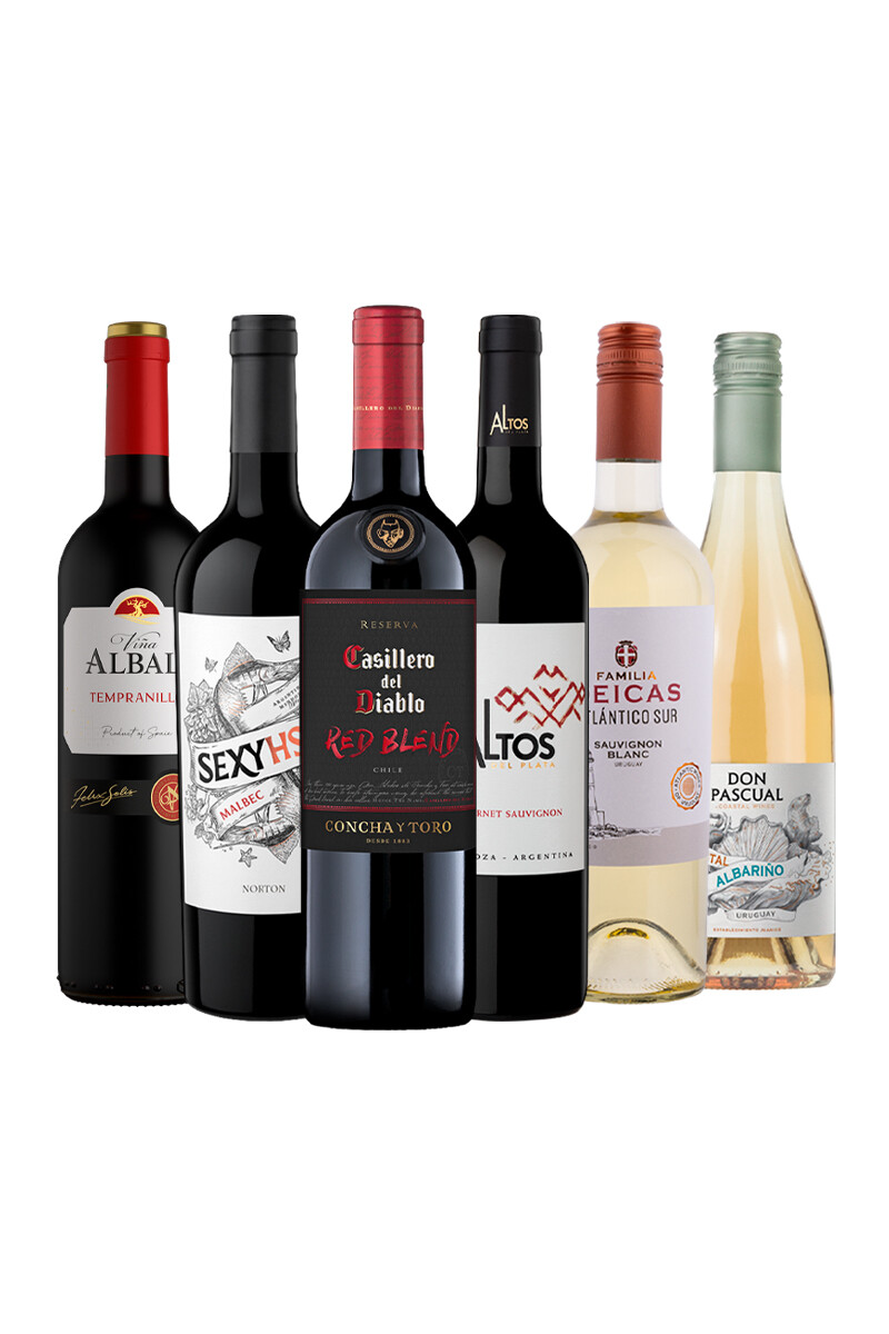 Pack Bacán Selección Entre Lineas x6 vinos 