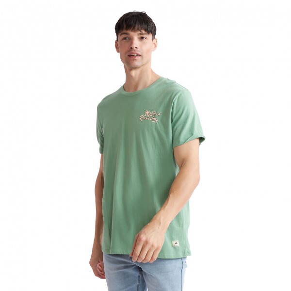Remera de Hombre N+ JACINTO Verde