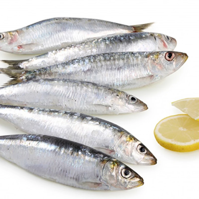 Sardina entera Española - 1 kg Sardina entera Española - 1 kg