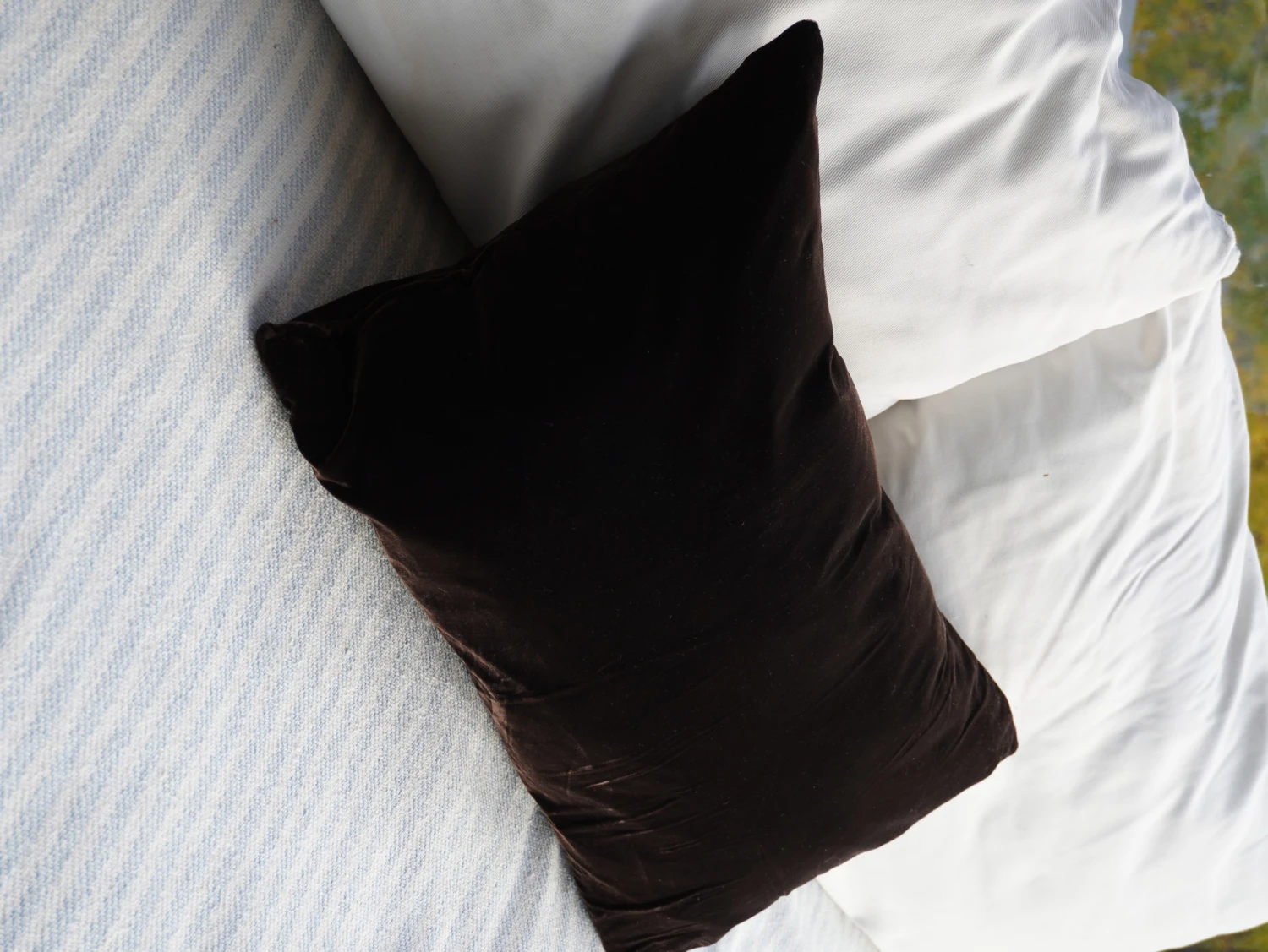 Terciopelo Cushion - Chico