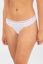 Colaless helecho Blanco